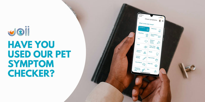 Are you using your free Pet Symptom Checker?