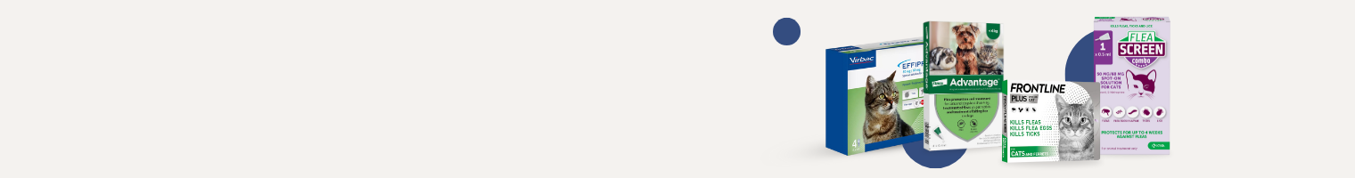 Cats Worms, Flea and Tick Control