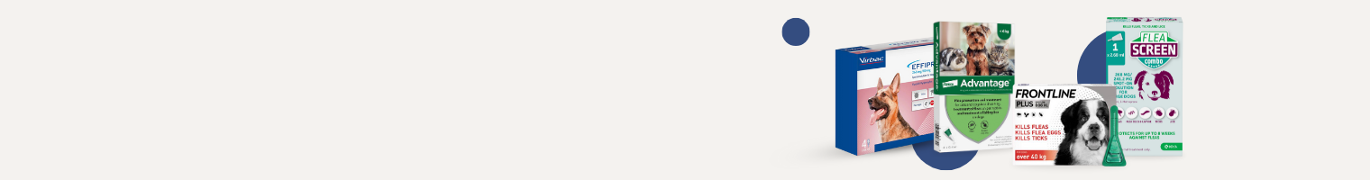 Dogs Worms, Flea and Tick Control