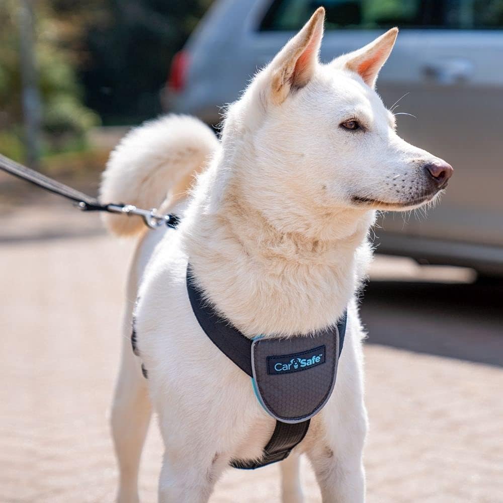 CarSafe Dog Travel Harness
