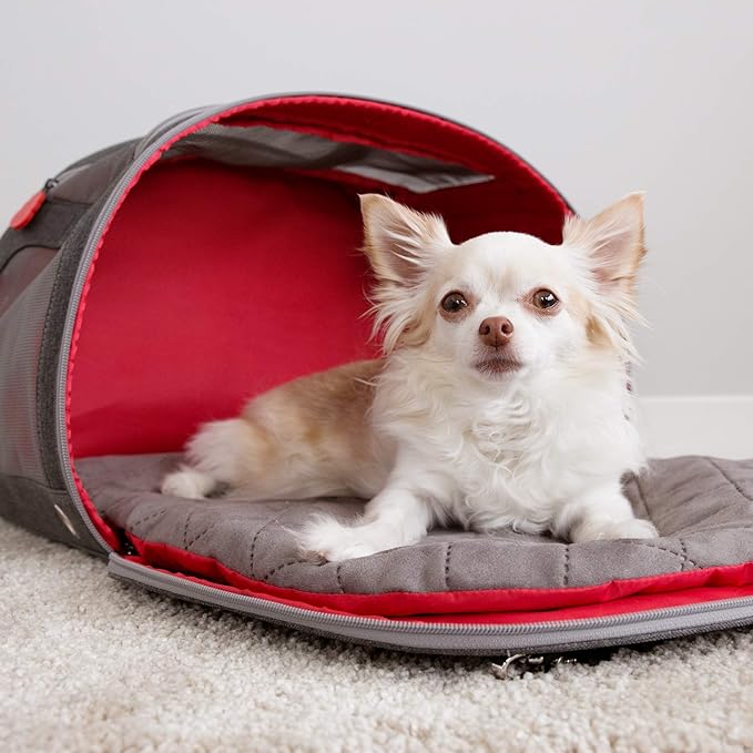 KONG 2-in-1 Pet Carrier and Travel Mat