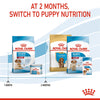 ROYAL CANIN® Medium Starter Mother and Babydog Adult and Puppy Food