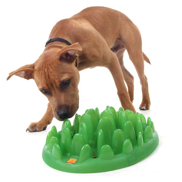 Green Interactive Dog Feeder