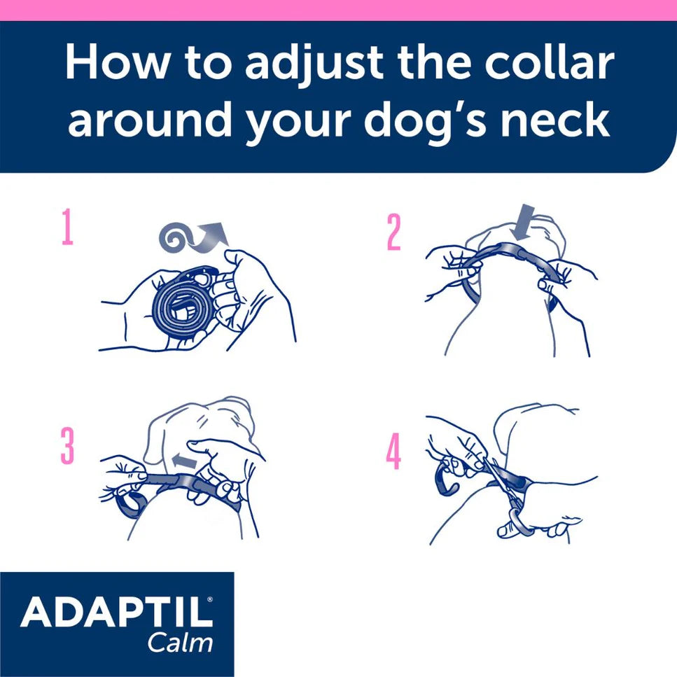 Adaptil Collar Junior