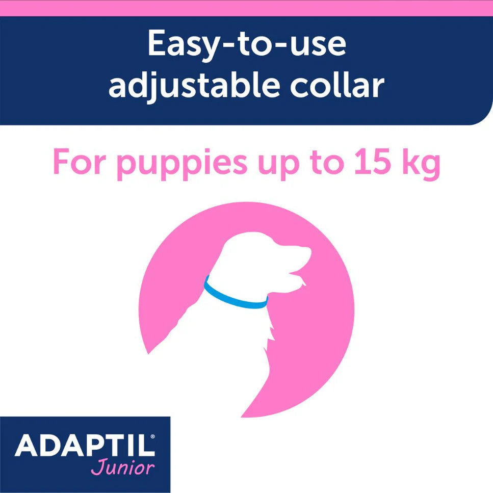 Adaptil Collar Junior