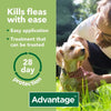 Advantage 100 Spot On Flea Control Medium Dog