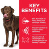 Hill's Science Plan Healthy Mobility Large Breed Dog Food