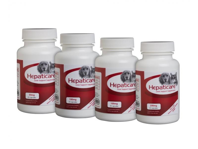 Hepaticare Liver Support Supplement