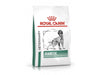 ROYAL CANIN® Diabetic Adult Dog Food