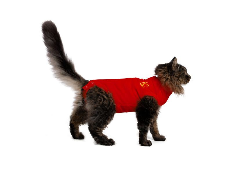 MPS Medical Pet Shirt for Cats