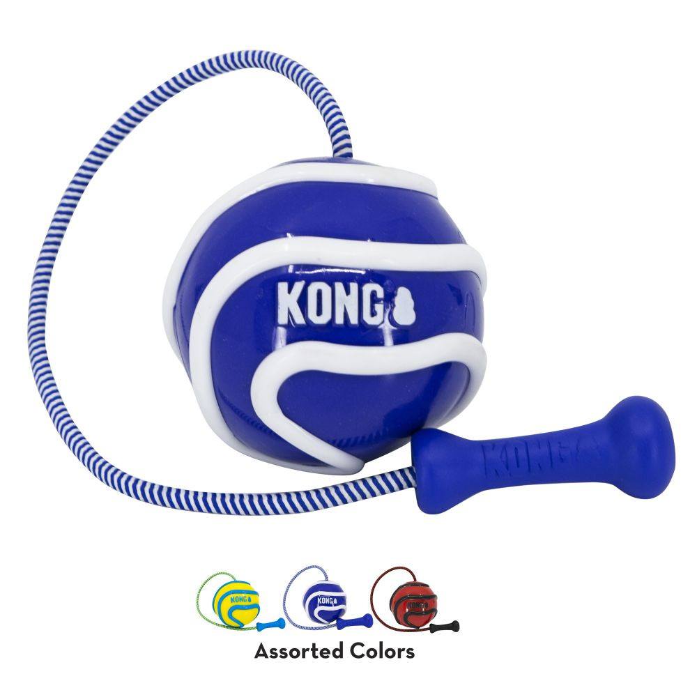 KONG Wavz Bunji Ball for Dogs