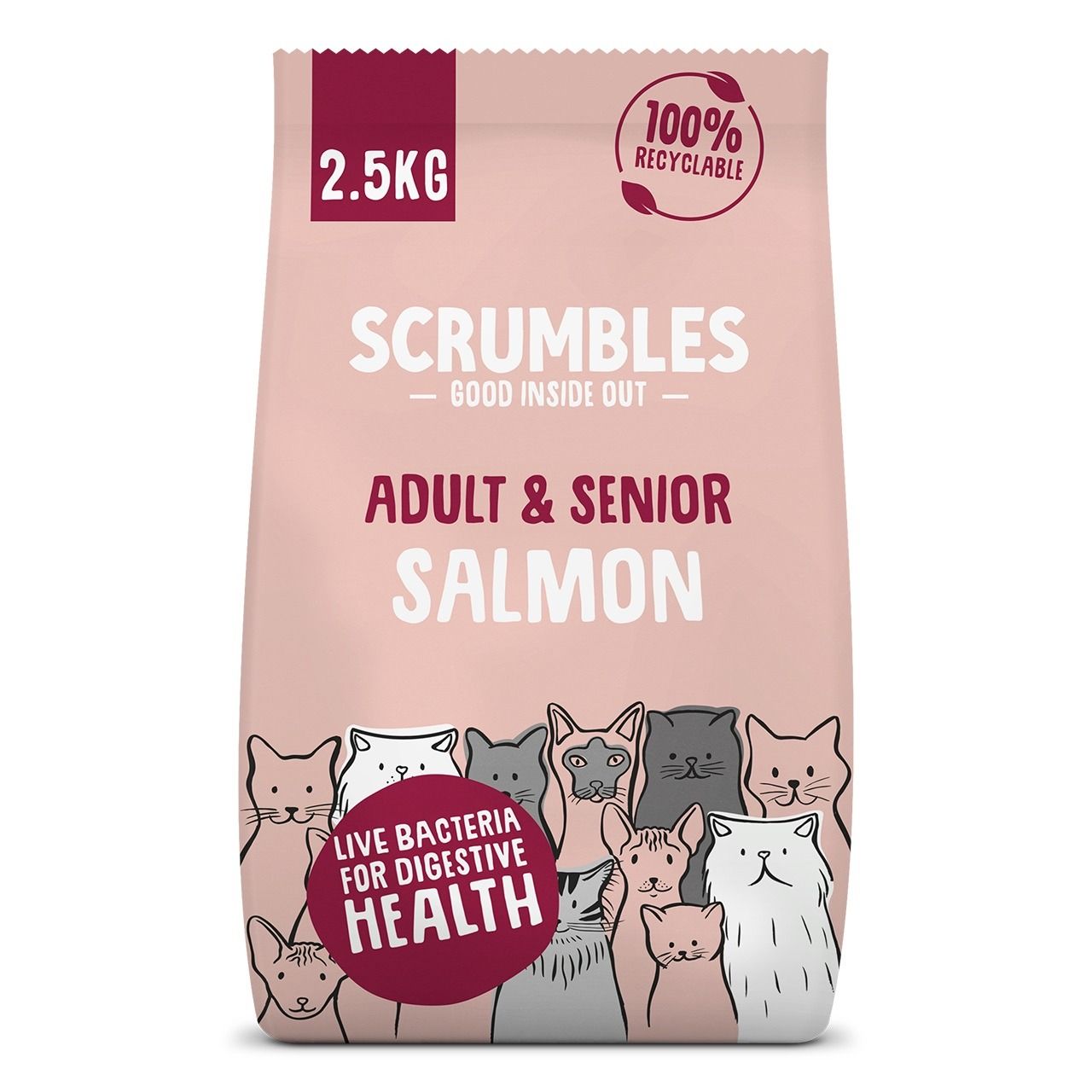 Scrumbles Chicken and Salmon Dry Cat Food for Adult and Senior Cats