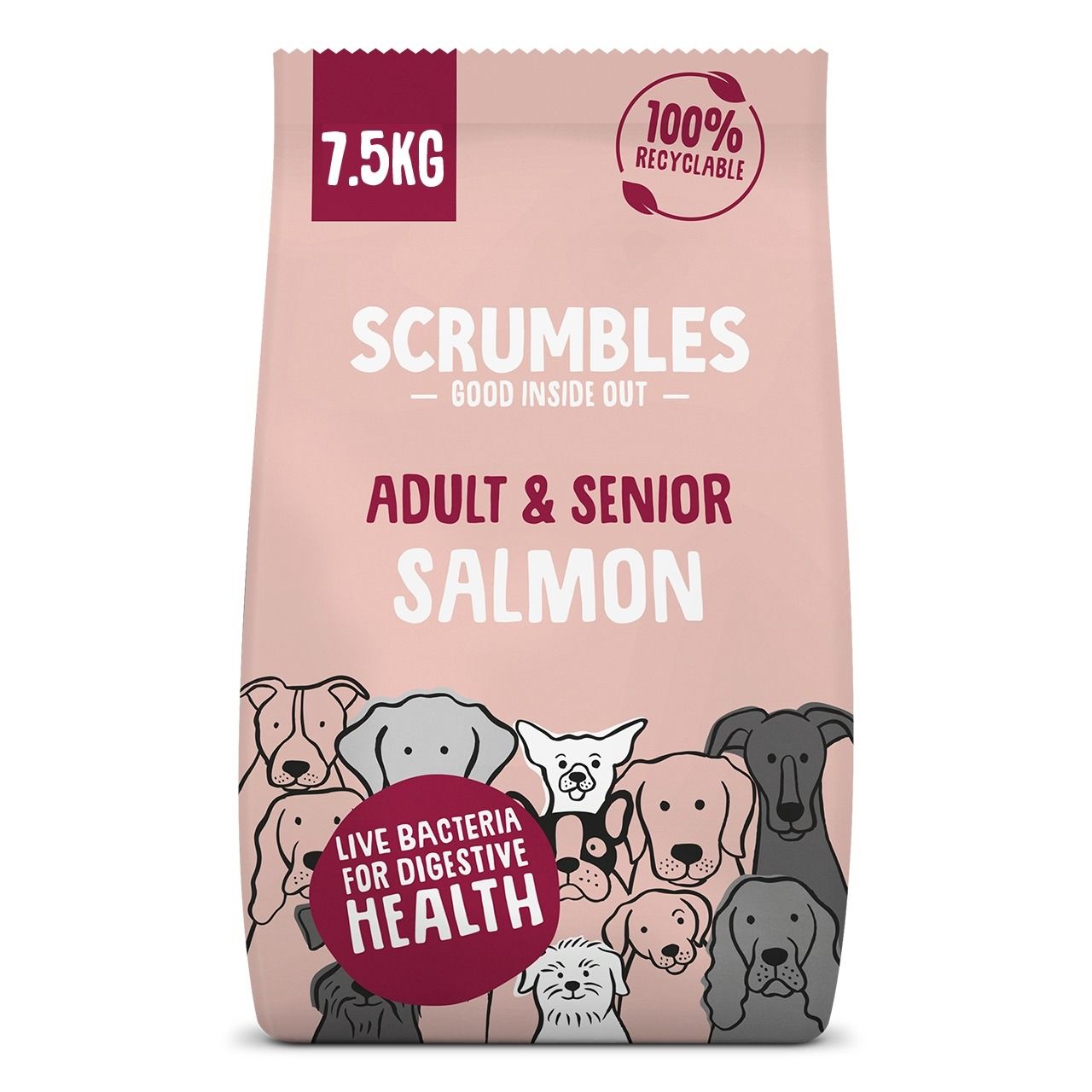 Scrumbles Salmon Dry Dog Food for Adults and Senior Dogs