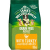 James Wellbeloved Grain Free Adult Dog Turkey and Veg Food