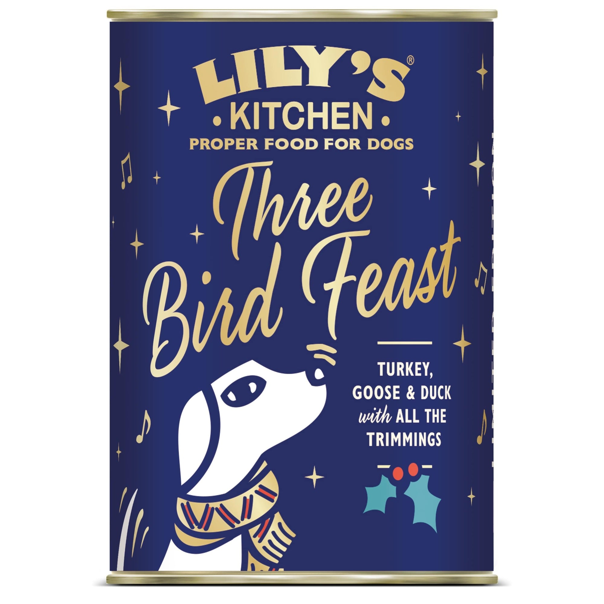 Lily's Kitchen Christmas Three Bird Feast Wet Dog Food