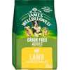 James Wellbeloved Adult Grain Free Lamb and Vegetable Dog Dry Food