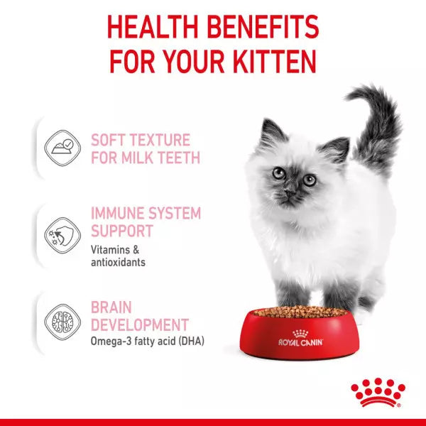 ROYAL CANIN® Feline Health Nutrition Kitten Wet Cat Food in Loaf