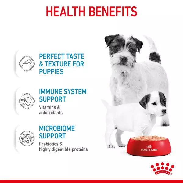 ROYAL CANIN® Starter Mother and Babydog Adult and Puppy Mousse